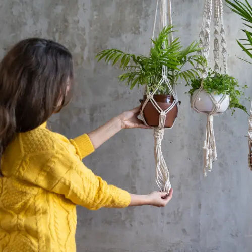 Macramé Plant Hangar Workshop Singapore