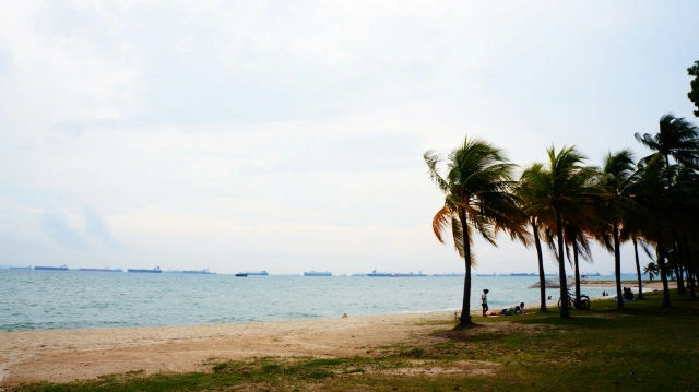 Best Free Team Bonding Places Singapore