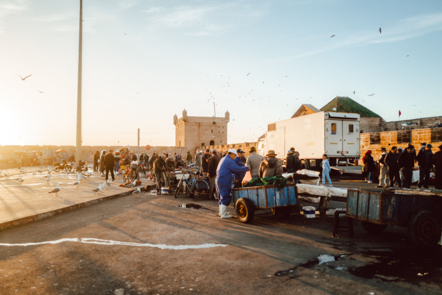Coastal Towns
