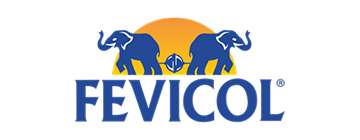 Fevicol