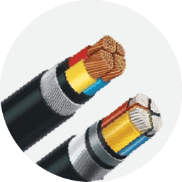 Armored Cables