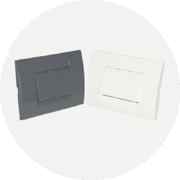 Domestic Switches