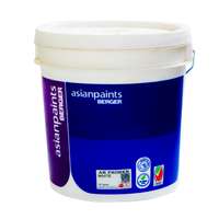 Asian Paints Berger AR Primer, 3.6L, 800 White, Alkali-Resistant Wall Primer
