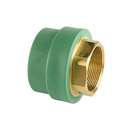 Wefatherm 50mm x 1 1/2" PPR Female Adaptor Pipe Fitting 0