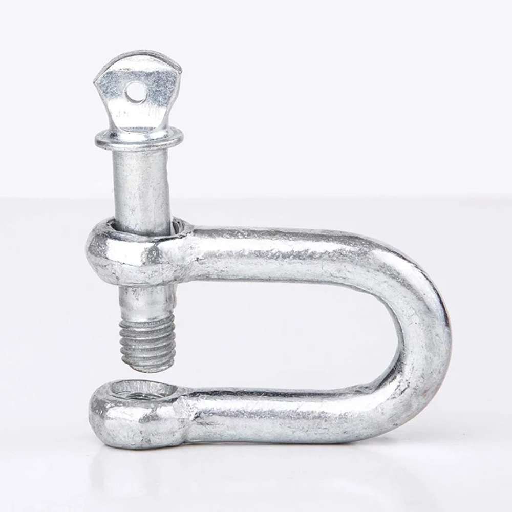 10mm GI D Shackle  1