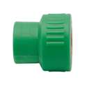 Cosmoplast PPR Female Adaptor 40mm × 1 1/4", Fusion-Weld × BSP Female, Appliance Ready 2
