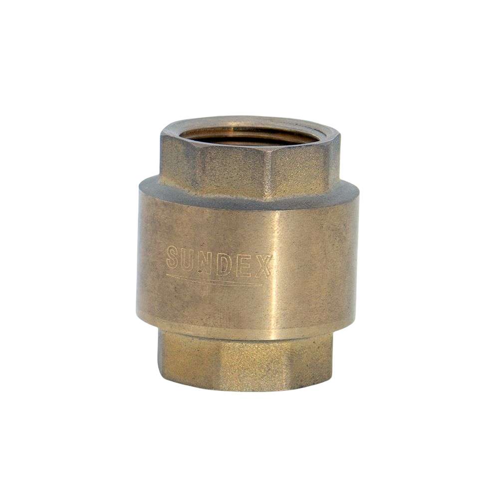 Sundex 1" Check Valve 3