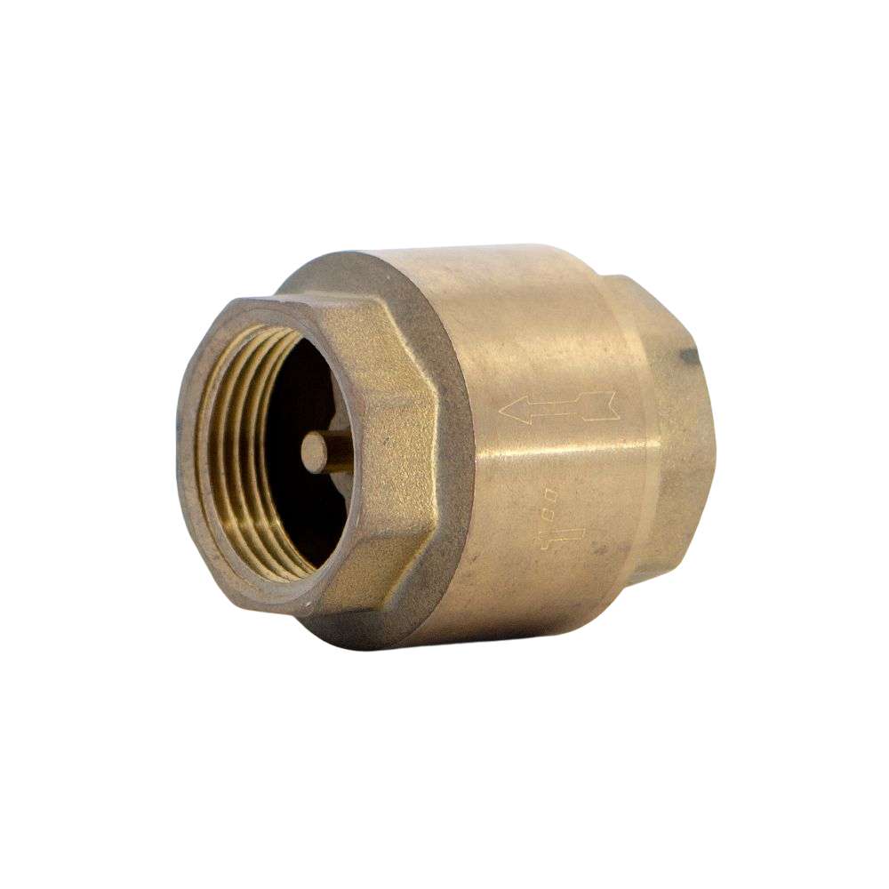 Sundex 1" Check Valve 1