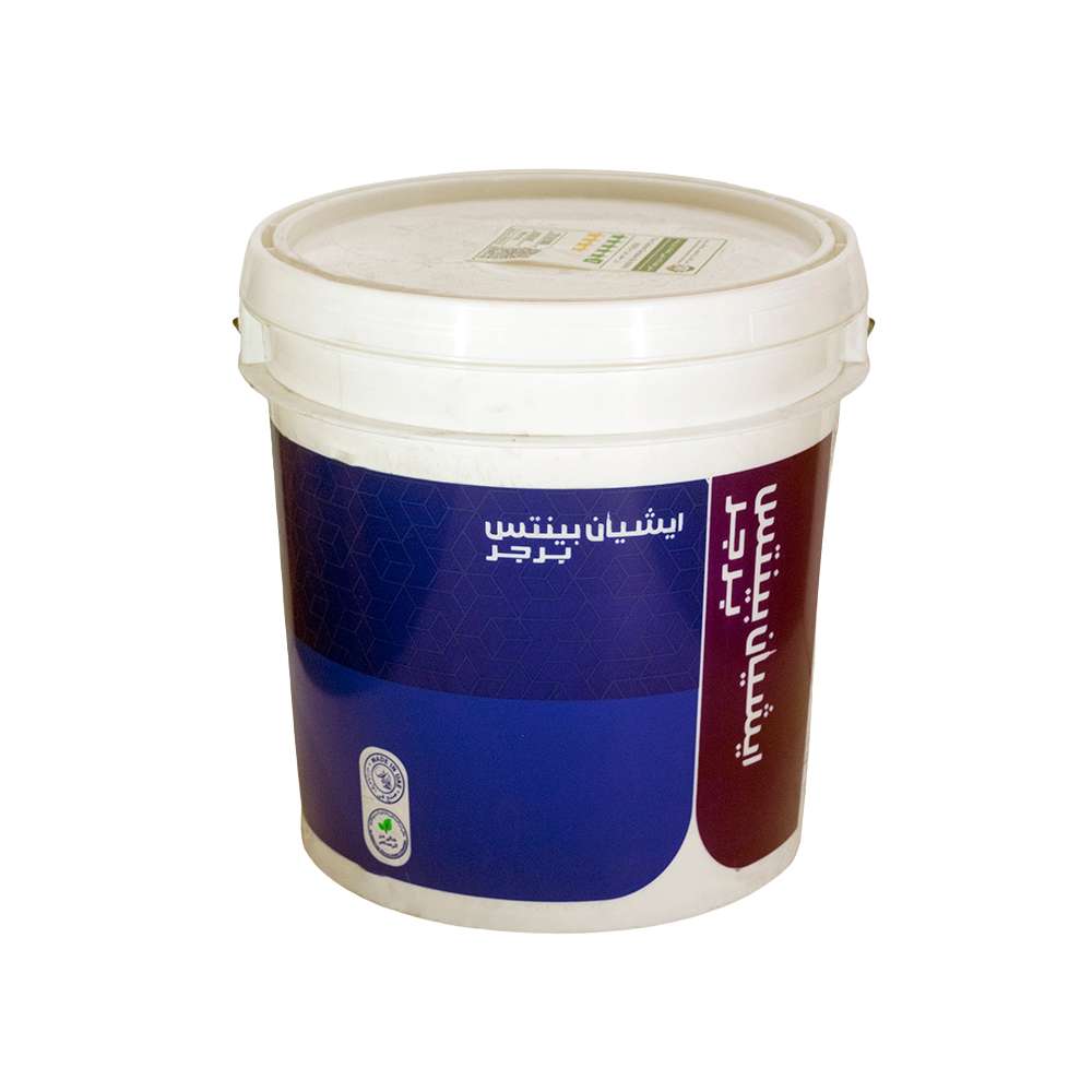 Asian Paints Berger Tuff AR Primer Superior Spread Rate and Alkali-Resistant 1