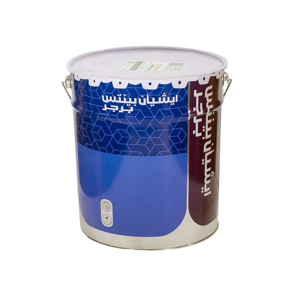 Asian Paints Berger 4L Special Value Wood Primer 1
