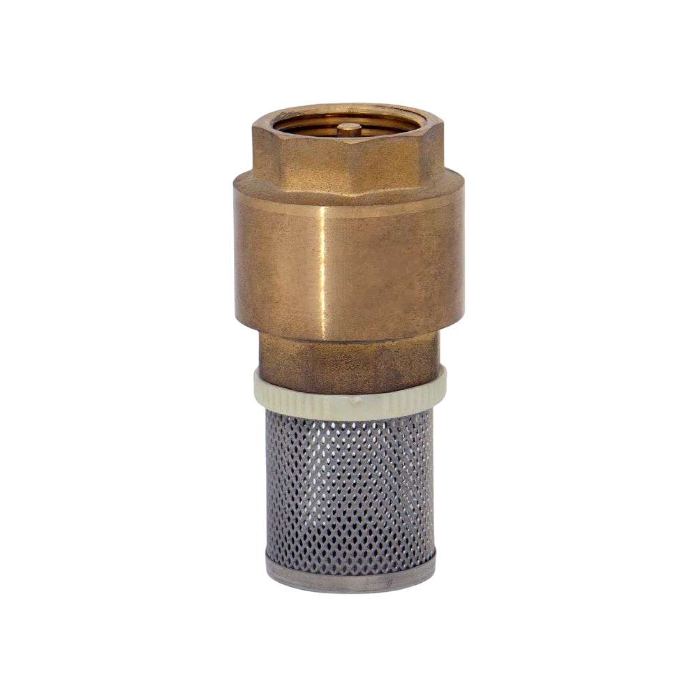 1" Brass Foot Valve 3