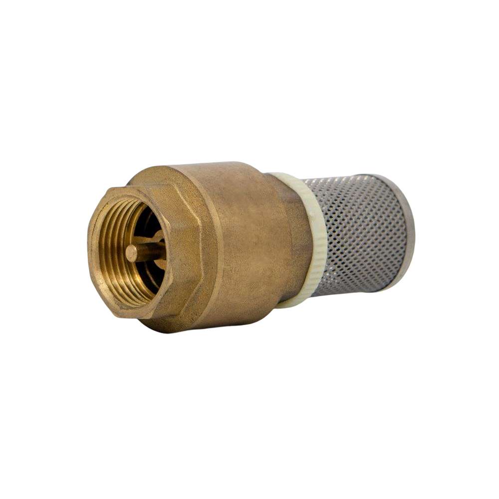 1" Brass Foot Valve 2