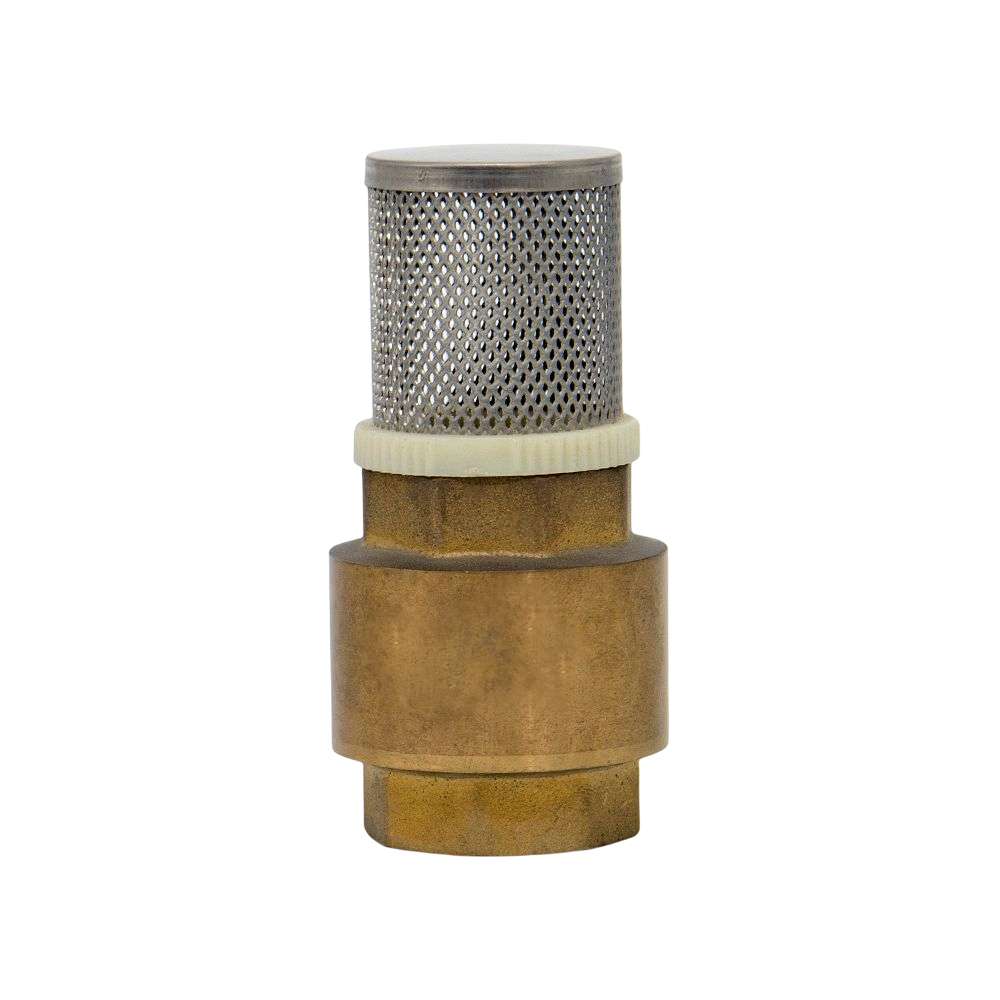 1" Brass Foot Valve 0