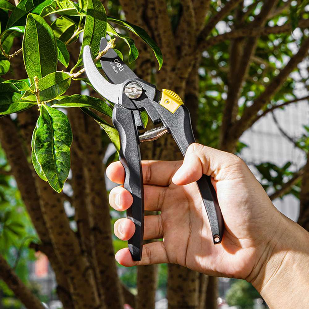 Deli DE-EDL580003 Gardening Shears 3pcs Set 5