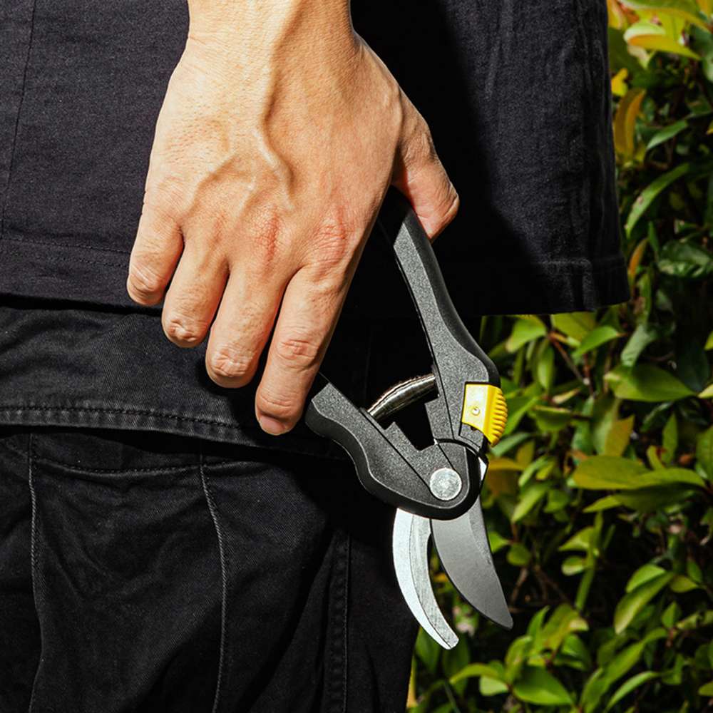 Deli DE-EDL580003 Gardening Shears 3pcs Set 6