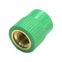 Thomsun PPR Female Adaptor, 63mm x 2", Brass Insert Threaded Fitting for PPR Plumbing