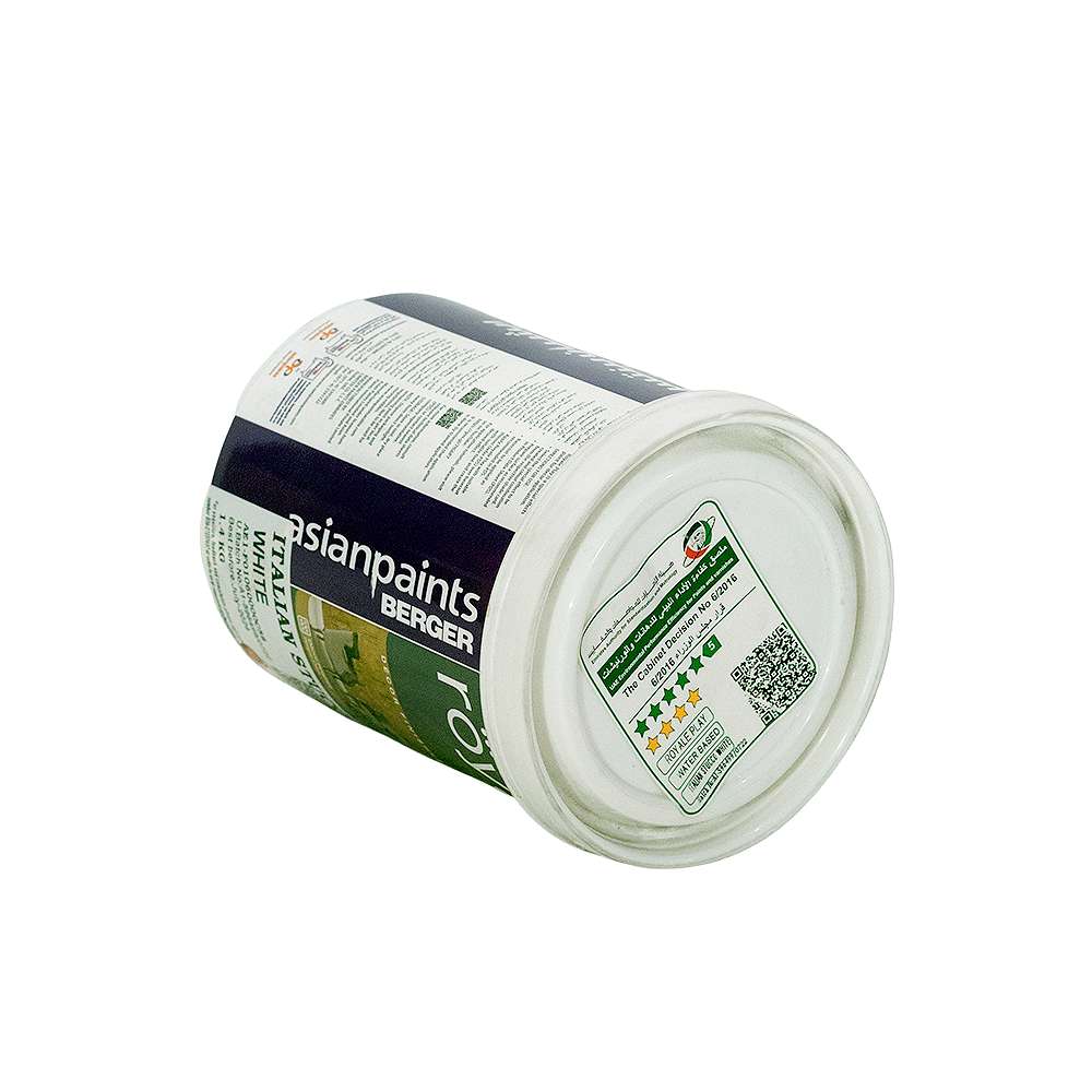 Asian Paints Berger Royale Play Italian Stucco 1Kg White 3