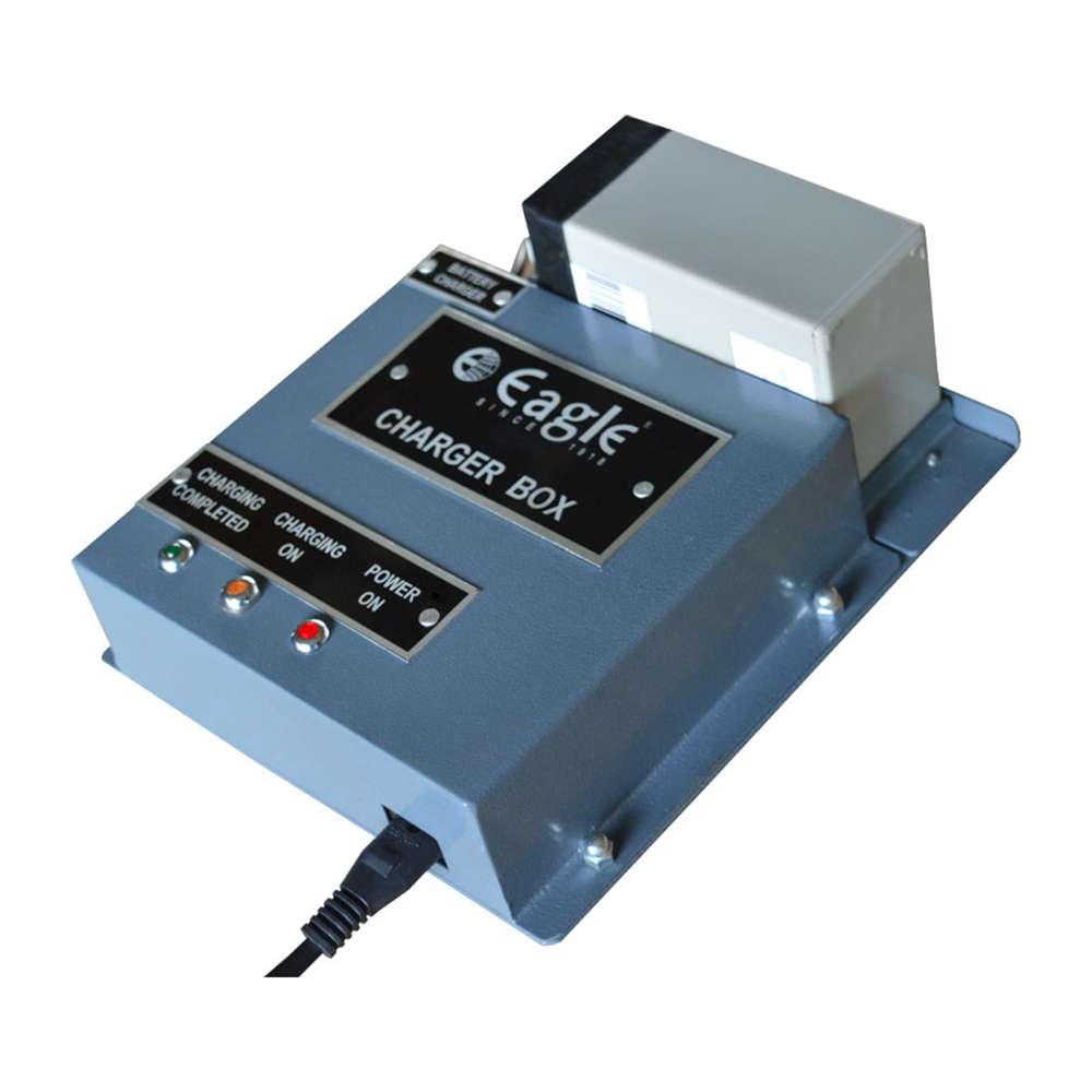 Eagle CRN LDR-2T Crane Scale, Capacity 1Kg - 2000 kg 2