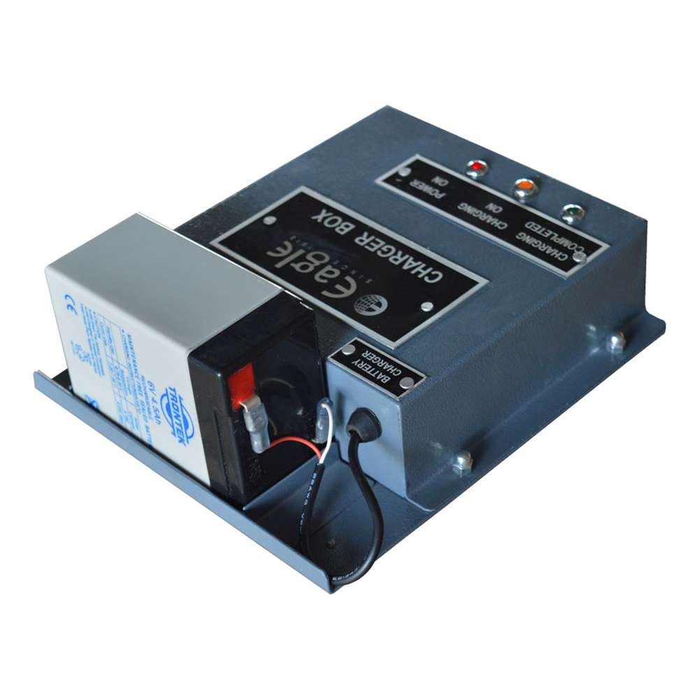 Eagle CRN LDR-3T Crane Scale, Capacity 1Kg - 3000 kg 1