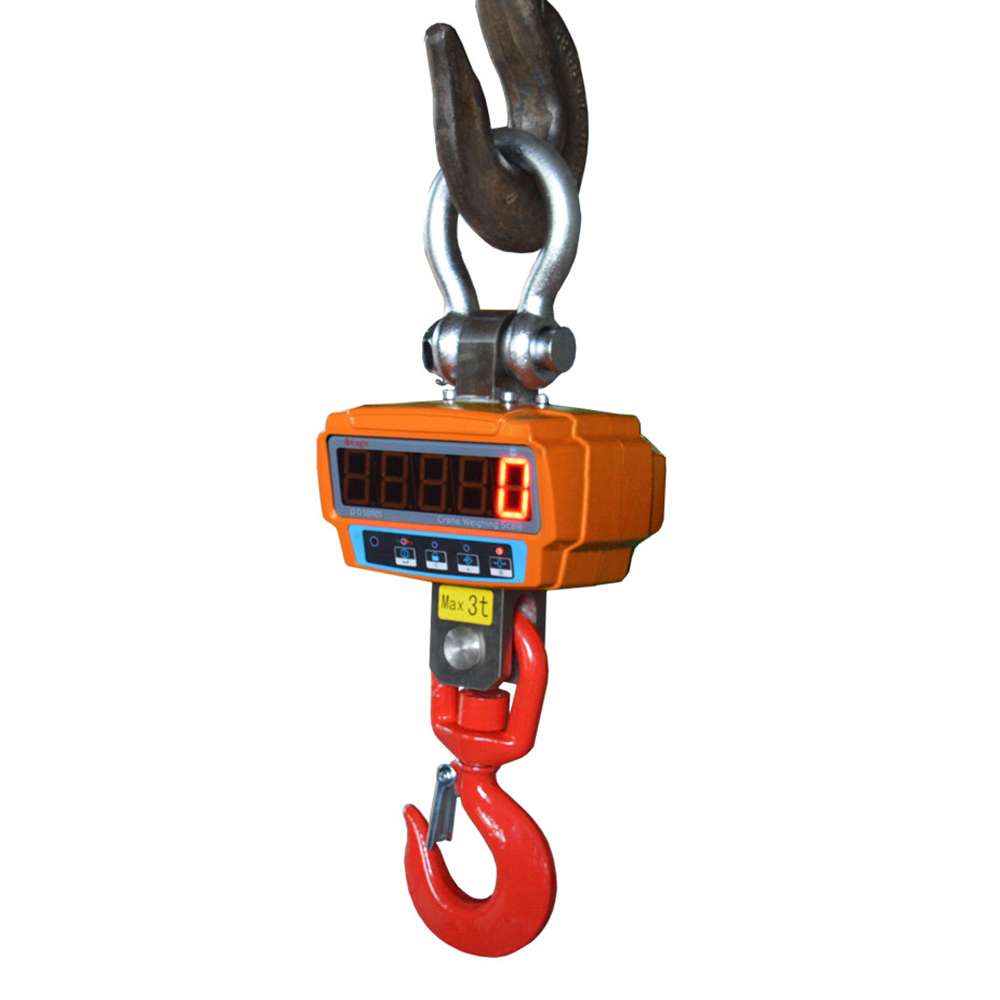 Eagle CRN LDR-1T Crane Scale , Capacity 500gm - 1000Kg 5