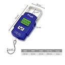 Eagle Luggage Weighing Scale, Capacity 2