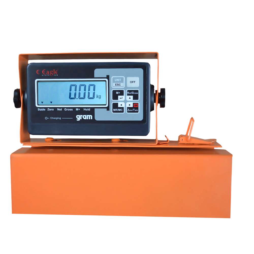 Eagle EPS-150 SH Portable Cargo Shipping Weighing Scale, Capacity 150 kg 0