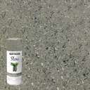 Rust-Oleum 12oz 355ml American Accents Spray Paint - Stone Gray 1