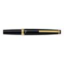 Pilot E95S Fountain Pen with CON-40 Converter, Fine Nib, Smooth Writing, Everyday Use, Ideal for Office & Personal Collection Use - Black 1