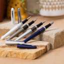 Pilot MR2 Animal Collection Fountain Pen, Medium Nib, Range 2, Smooth Ink Flow, Consistent Writing, Ideal for School & Office Use, Python Design – Black Ink 1