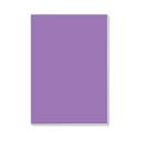 Funbo Foam Board, 70 × 100 cm, 0.5 cm, Lightweight, Easy-Cut, Smooth Paper Surface, Ideal for Mounting, Models & Craft Displays – Violet 2