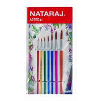 Nataraj Arteezi Multi-Purpose Round Brushes – Set of 7