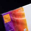 Panart Stretched Cotton Canvas, 40x50 cm, 350 GSM, Professional 1