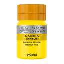 عبوة ألوان أكريليك وينسور آند نيوتن جاليريا (Balanced Primary) ضمن عبوة سعة (250ml) لون (Cadmium Yellow Medium Hue) 0