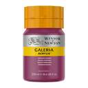 Winsor and Newton Galeria Acrylic Color, 250 ml Bottle, High-Chroma Violet-Red for Expressive Glazes and Bold Accents – Permanent Magenta 1