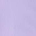 Winsor and Newton Galeria Acrylic Color, 250 ml Bottle, Deep Violet, Smooth Film for Florals & Dramatic Glazes – Winsor Violet 4