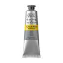 أنبوب ألوان أكريليك وينسور آند نيوتن جاليريا سعة (60ml) سريع الجفاف بدرجة لونية و نمط (Bright Reflective Finish) للمناظر الطبيعية والبورتريه لون (Silver) 1