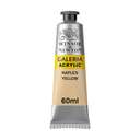أنبوب ألوان أكريليك وينسور آند نيوتن جاليريا سعة (60ml) جودة صبغية عالية، قوام سلس، سريع الجفاف، مقاوم للضوء، مثالي للقماش والورق والخشب لون (Naples Yellow) 0