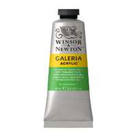 Winsor & Newton Galeria Acrylic Color, 60 ml Tube, Water-Based Quick-Dry Satin, Bright Spring Green for Fresh Foliage & Highlights – Permanent Green Light