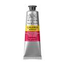 أنبوب ألوان أكريليك وينسور آند نيوتن جاليريا سعة (60ml) سريع الجفاف بدرجة لونية و نمط (CMY Primary) للمناظر الطبيعية والبورتريه لون (Process Magenta) 1