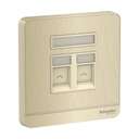 Schneider Electric AvatarOn RJ-45 Wall Plate, 1-Gang 2-Keystone, Hairline Gold Finish, Clean Data Integration – Gold Hairline 0