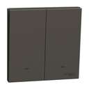 Schneider Electric AvatarOn C Plate Switch, 2-Gang 1-Way 16AX 250V, Straight-Line Styling for Everyday Control, Suitable for Home & Office – Dark Grey 0
