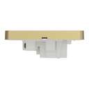 Schneider Electric AvatarOn 13A 250V 1-Gang Double-Pole Switched Socket, Wine Gold 6