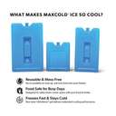 Igloo Ice Block Small Blue 8