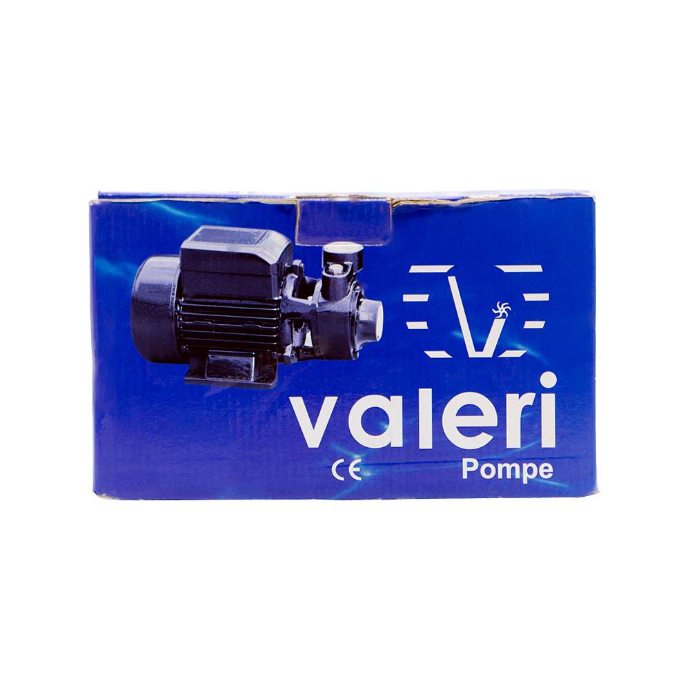 Valeri Water Pump, 0.5 HP, Unsurpassed Performance & Low Consumption 5