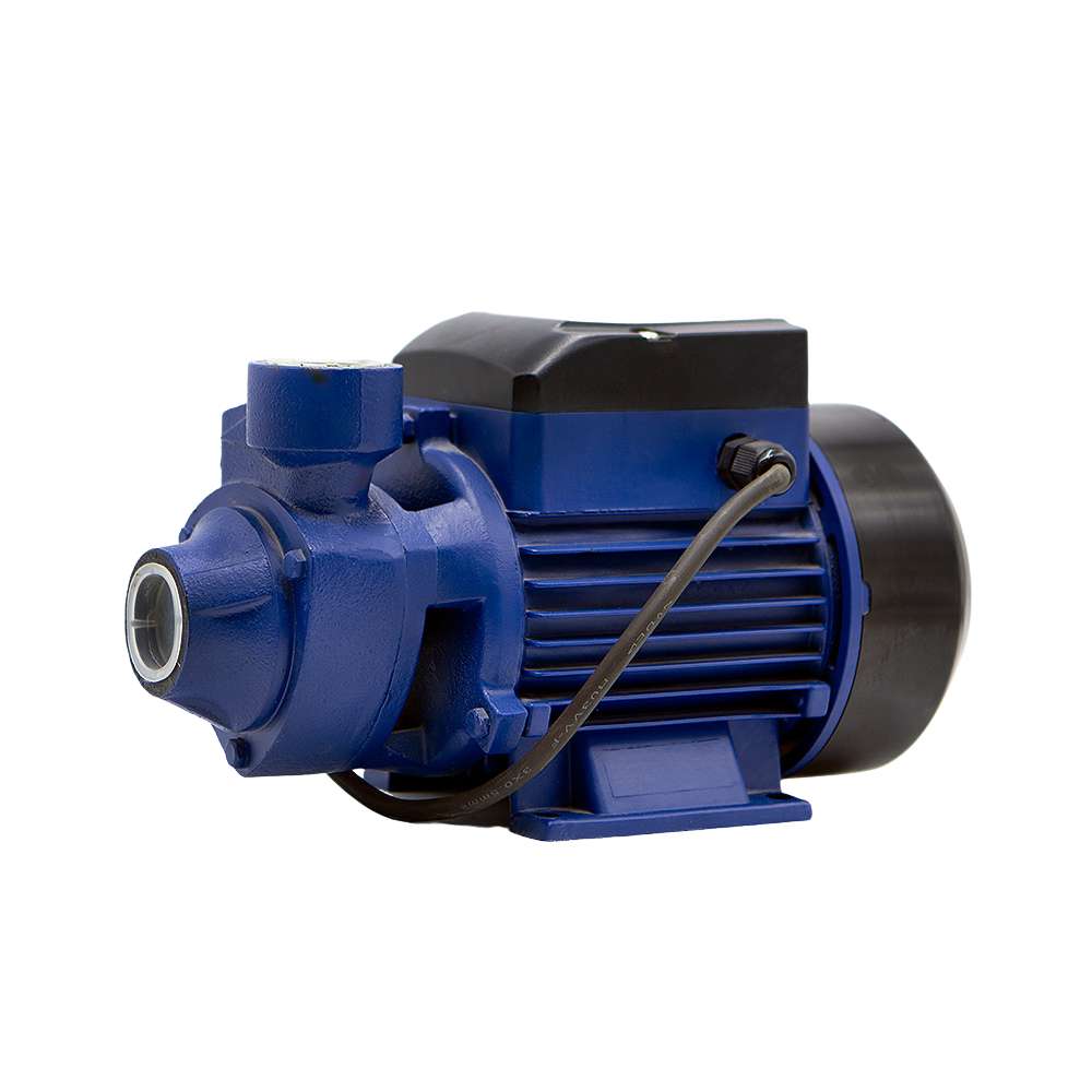 Valeri Water Pump, 0.5 HP, Unsurpassed Performance & Low Consumption 1