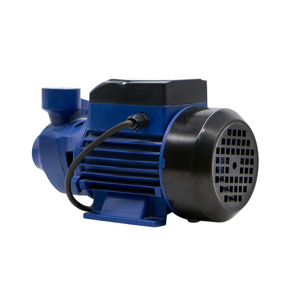 Valeri Water Pump, 0.5 HP, Unsurpassed Performance & Low Consumption 2