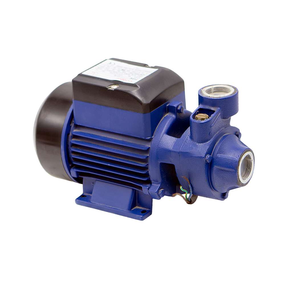 Valeri Water Pump, 0.5 HP, Unsurpassed Performance & Low Consumption 3