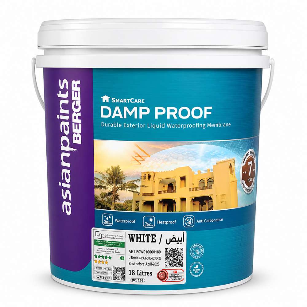 Asian Paints Berger SmartCare Damp Proof