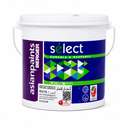 Asian Paints Berger 4L Flexidex LE 0