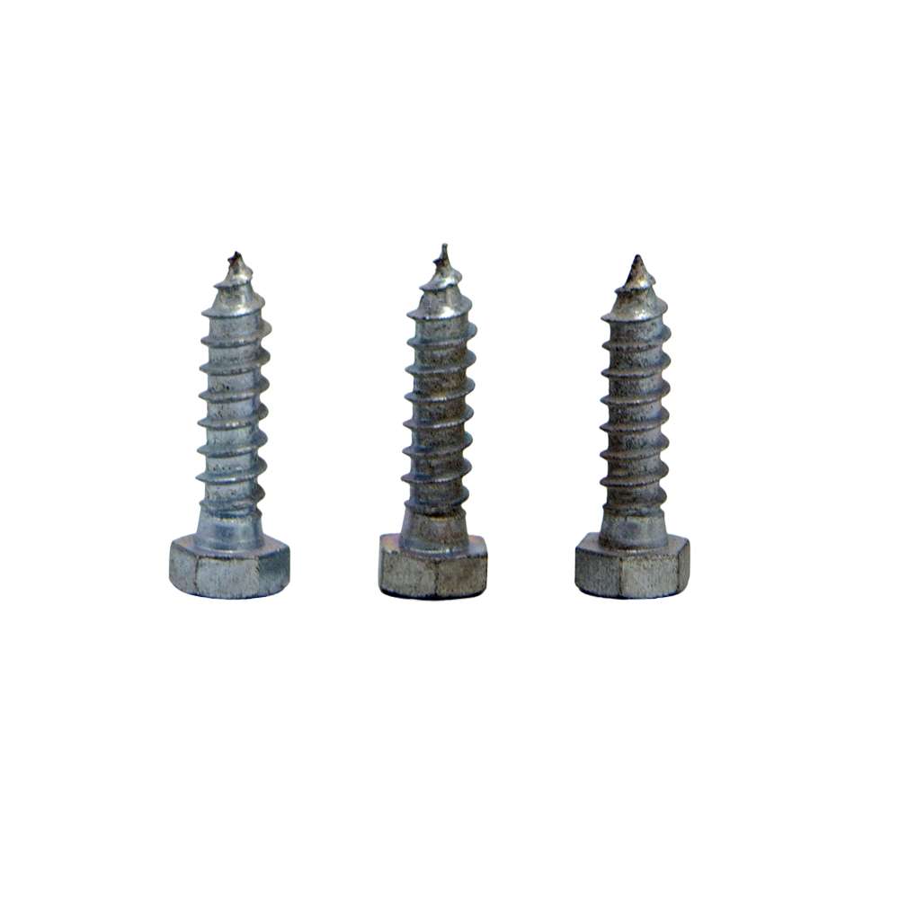 Coach Screw 3